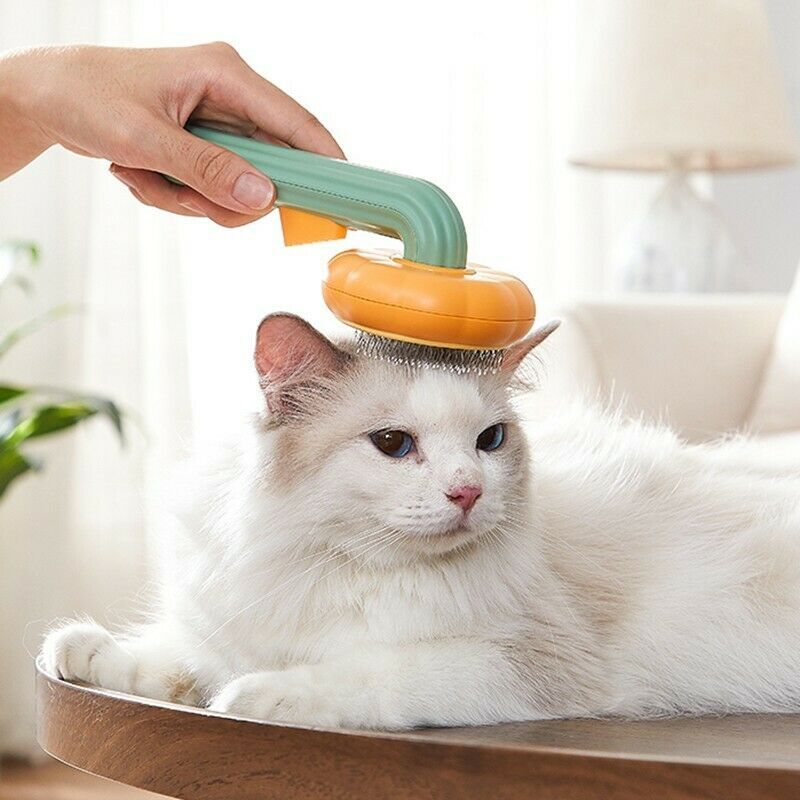 Pumpkin Pet Grooming Brush – Self-Cleaning Slicker
