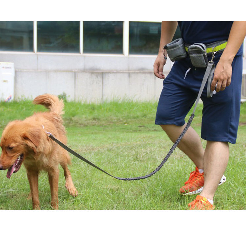Adjustable Hands-Free Dog Leash – 4-Piece Set