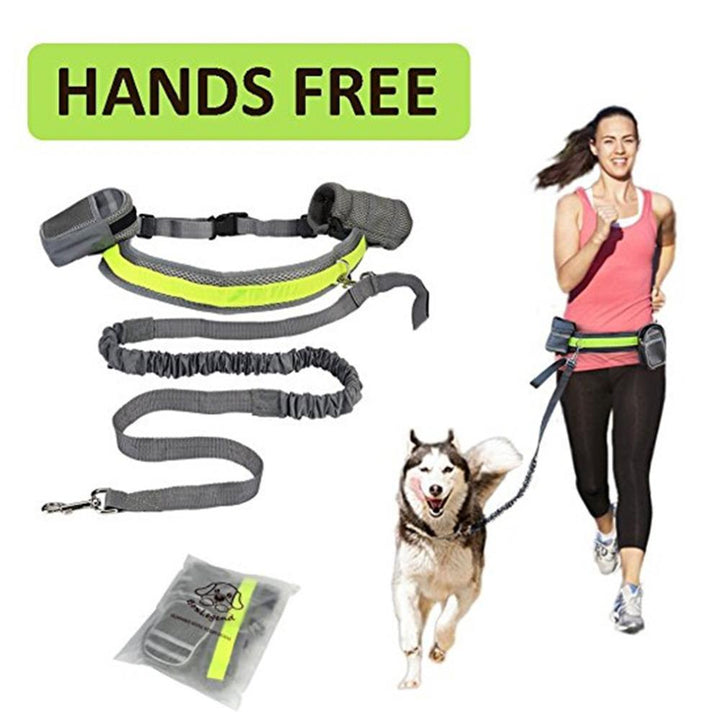 Adjustable Hands-Free Dog Leash – 4-Piece Set