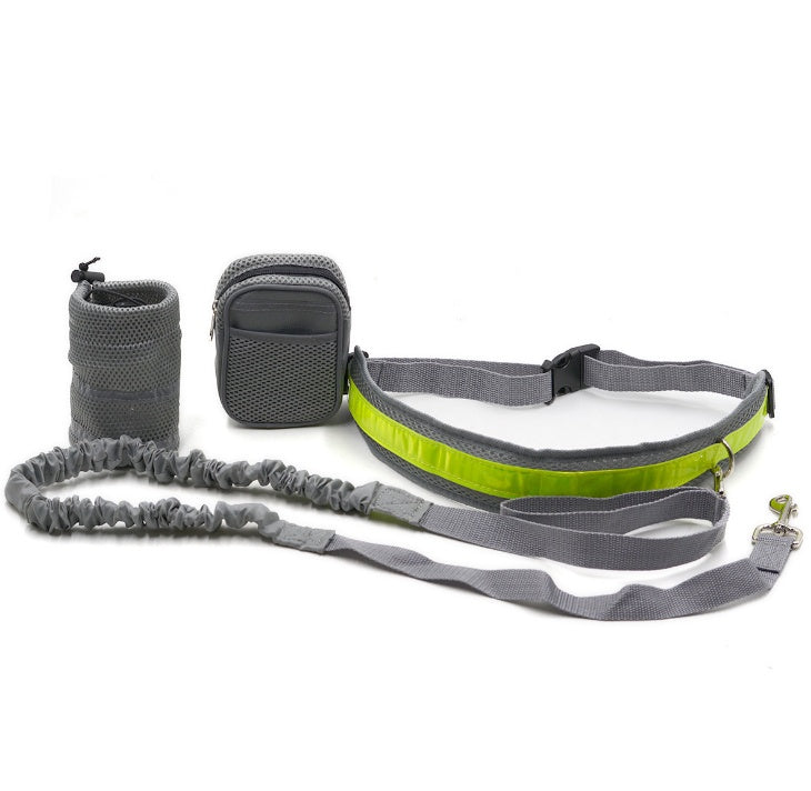 Adjustable Hands-Free Dog Leash – 4-Piece Set